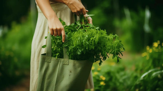 Green Cleaning Guide