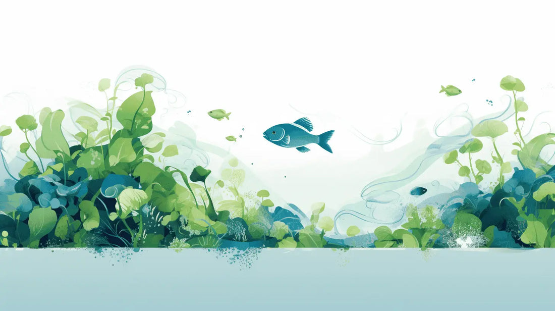 Eco-friendly laundry detergent