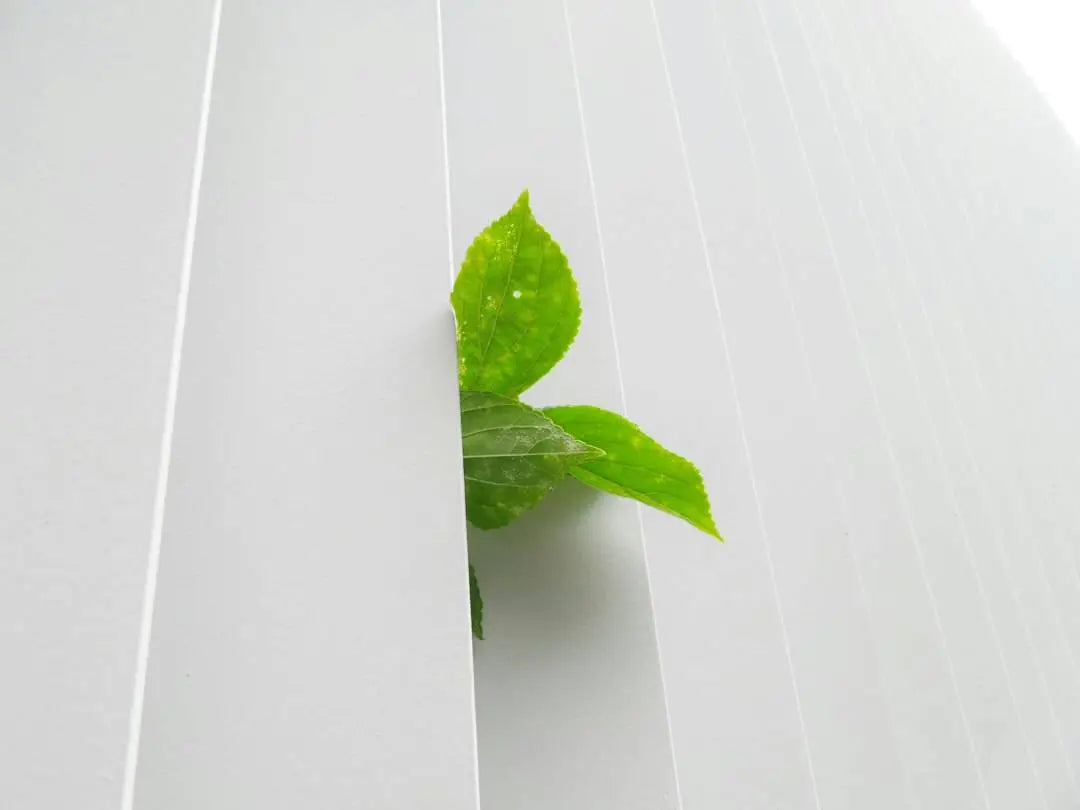 Comment gagner de l’argent en optant pour des produits de lavage écologiques