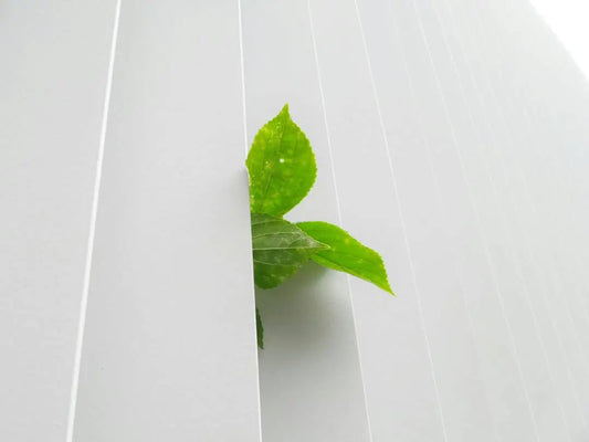 Comment gagner de l’argent en optant pour des produits de lavage écologiques