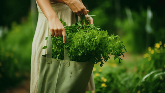 Green Cleaning Guide