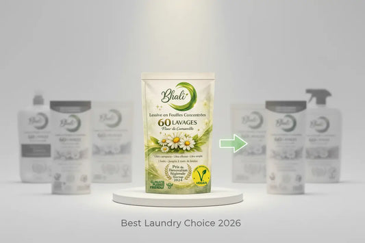 Quelle Lessive Choisir en 2026: Guide Complet