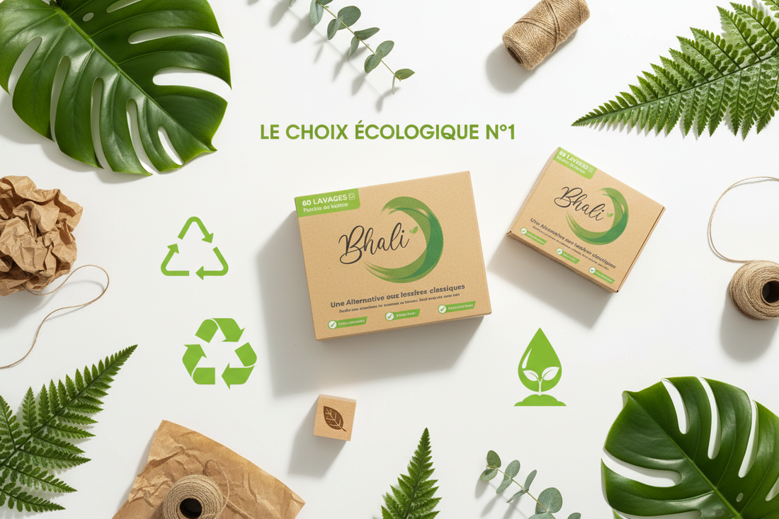Top 10 Lessives Écologiques 2026 : Classement Complet